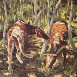 Mouth Eating Trees and Related Activities