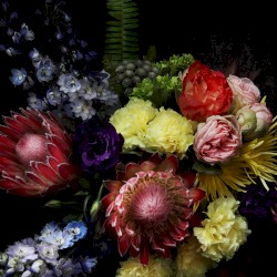 Fate in Seven Lessons