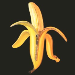 Welcome To The Monkey House