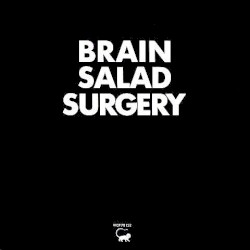 Brain Salad Surgery