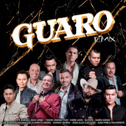 Guaro (remix)