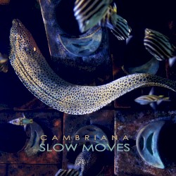 Slow Moves