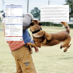 Bite the Hand That Feeds You