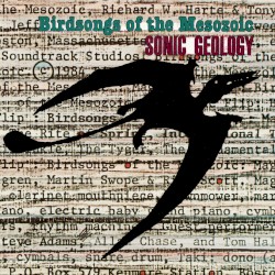 Sonic Geology