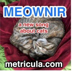 Meownir