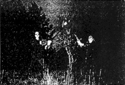 Demo 1