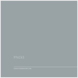 99A2A5