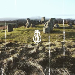 A Structure in the Center