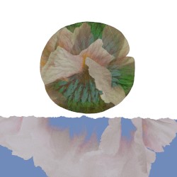 Live at Wesleyan 2004