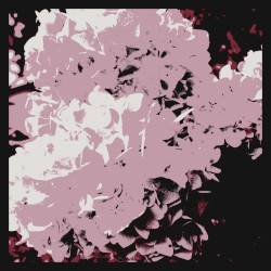 いつまでも強く優しい人