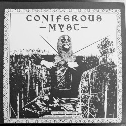 Vast Mountain Castles / Queen of the Timberline Realms