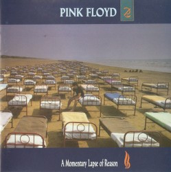 A Momentary Lapse of Reason