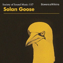 Solan Goose