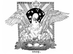 Snag