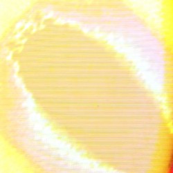 apprehension