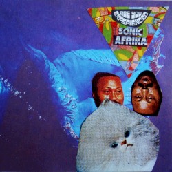 Are You Experienced Sonic Afrika?