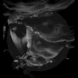 Between Shadow and Soul