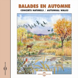 Balades en automne / Autumnal Walks