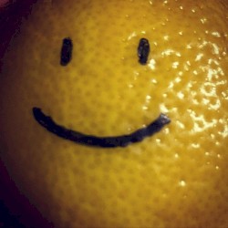 lemon Angel / lemon People