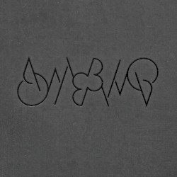 Ambiq 2
