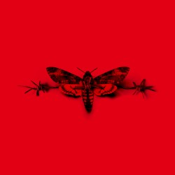 No Future? Yeah Right