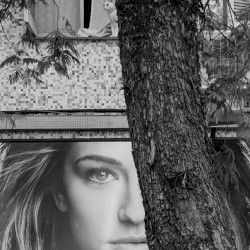 Portrait of Something