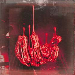 A Walk With the Shining One