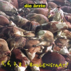 5, 6, 7, 8 - Bullenstaat!