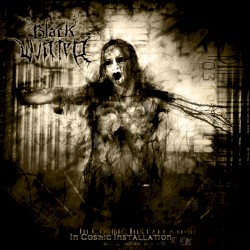 In Cosmic Installation