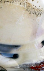 Sympathetic Vibrations