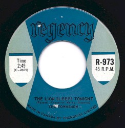 The Lion Sleeps Tonight / We're Doing Fine