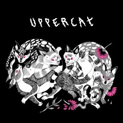 Uppercat