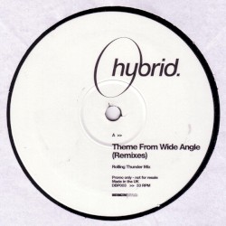 Theme From Wide Angle (Remixes)