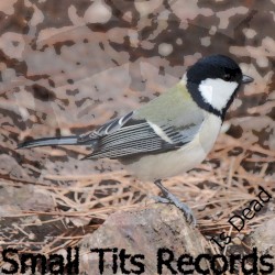 Small Tits Records Is Dead (RIP)