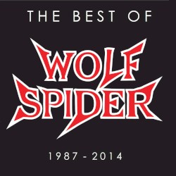 The Best of Wolf Spider