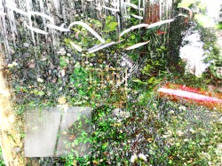 Freeroam 189 :: Three Times We've Been Freed XX -- "trespass lightly"