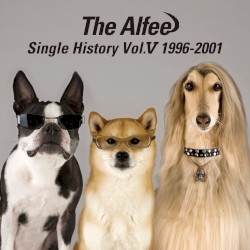 Single History Vol. V 1996-2001