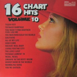 16 Chart Hits, Volume 10