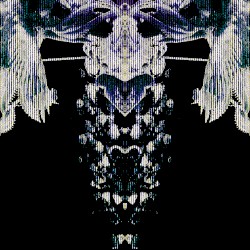 𝙏𝙚𝙖𝙧𝙏𝙤𝙧𝙣