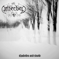 Shadows and Snow