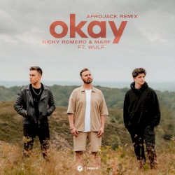 Okay (Afrojack remix)