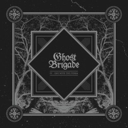 IV - One With the Storm