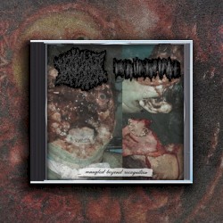 Mangled Beyond Recognition