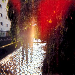 Butterfly Horse Street