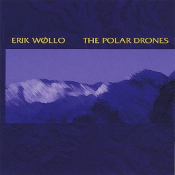 Polar Drones