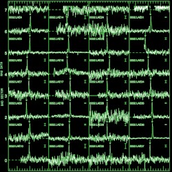 Raw Data