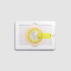 Amber Eon • ᴹᶦᶜʳᵒ