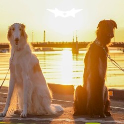 500 & OPHERINGS PRESENT: SPLIT-SUNSHINE KINGDOM F/W23