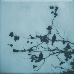 Nightingales (Acoustic)
