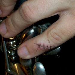 Grenadilla Splinters